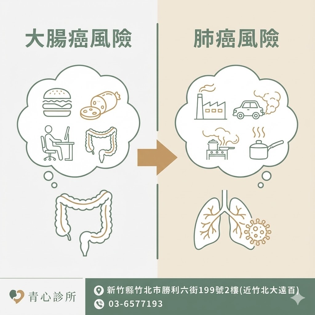 大腸癌與肺癌風險因子比較