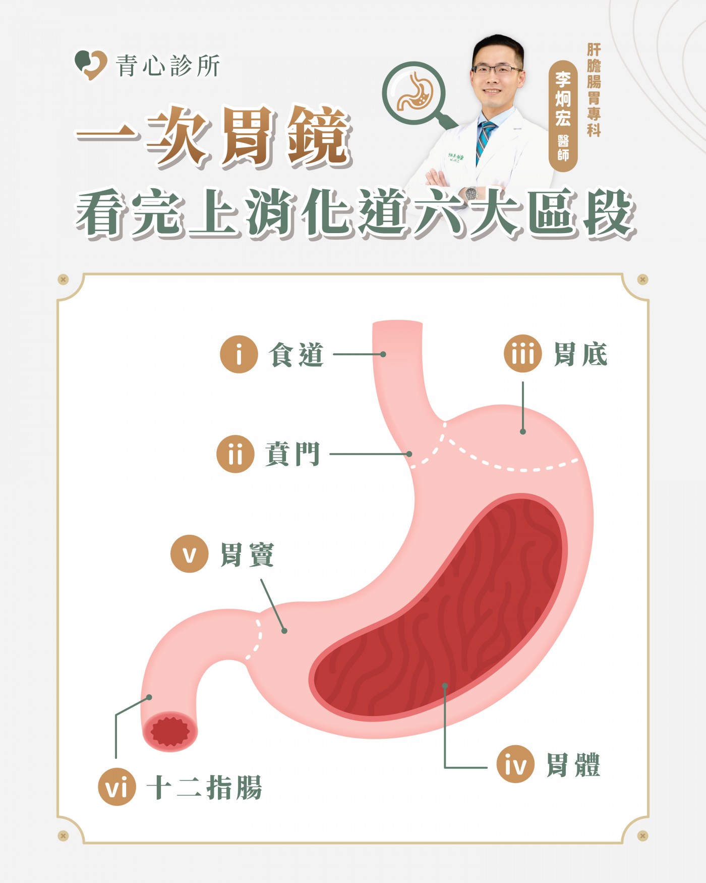一次胃鏡看完上消化道六大區段